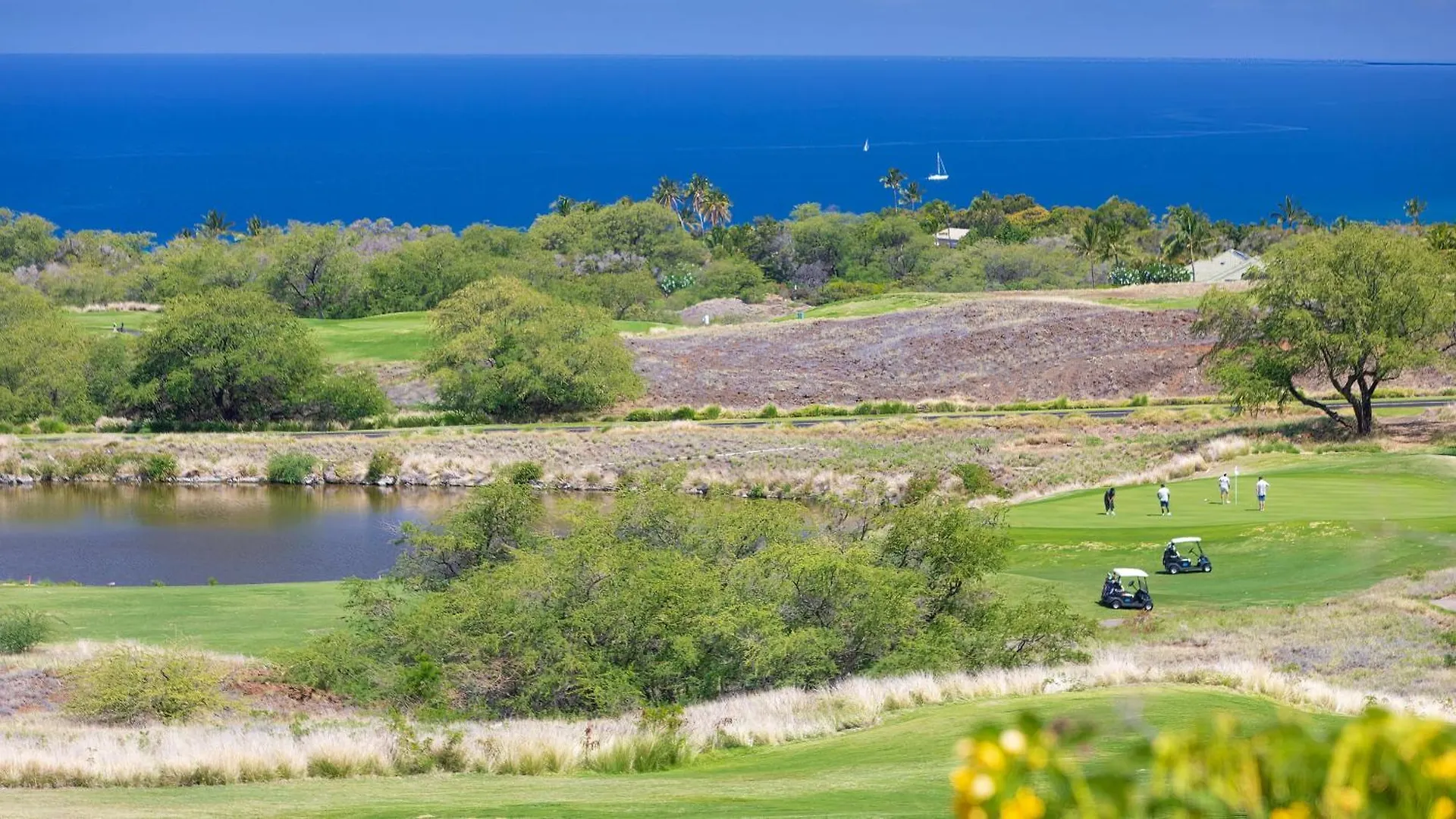 Pih: Mauna Kea Horizon Stunning Mauna Kea Resort Ocean Views Waimea  0*, Waimea (Hawaii) United States