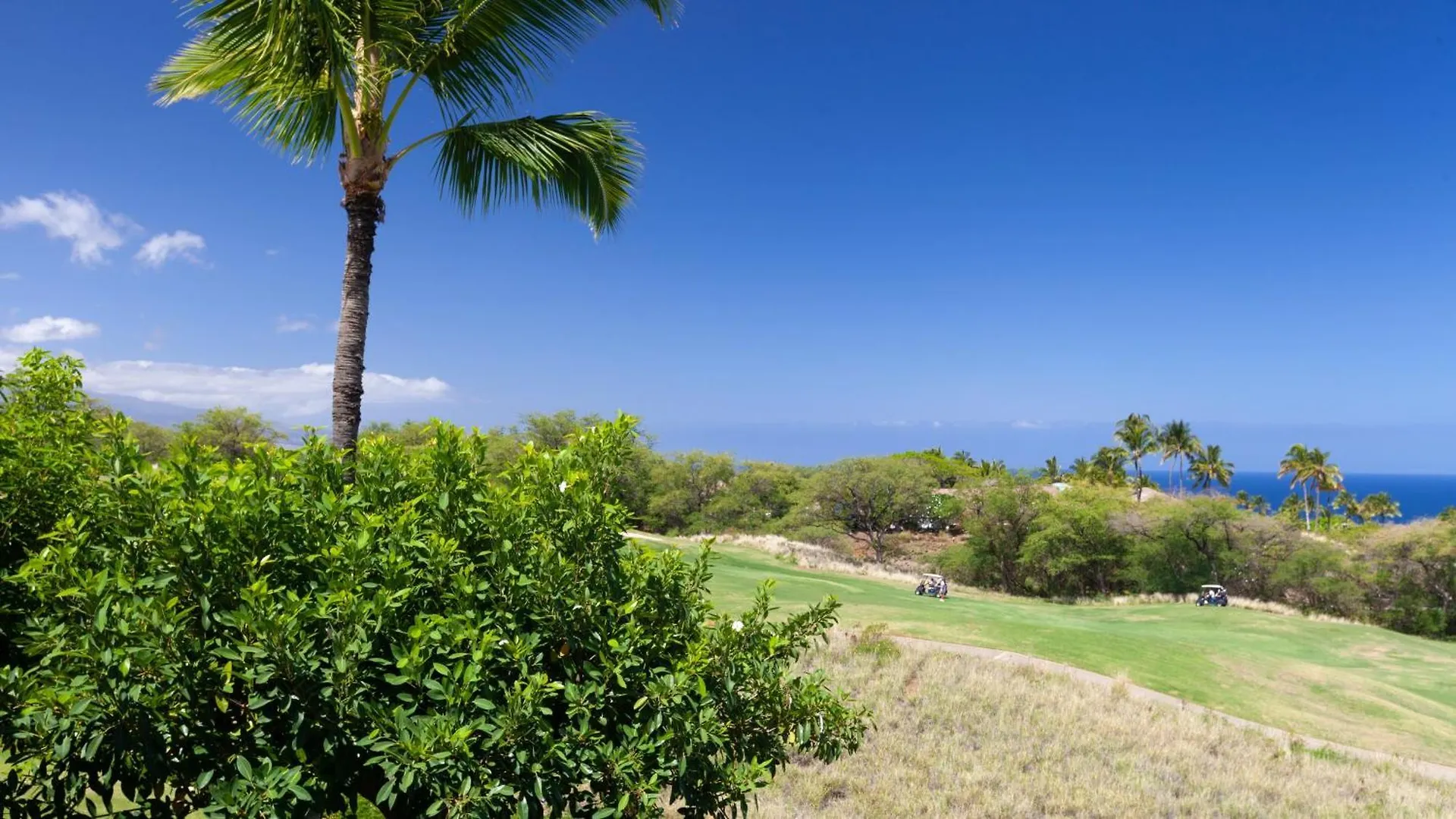 Pih: Mauna Kea Horizon Stunning Mauna Kea Resort Ocean Views Waimea  0*, Waimea (Hawaii)