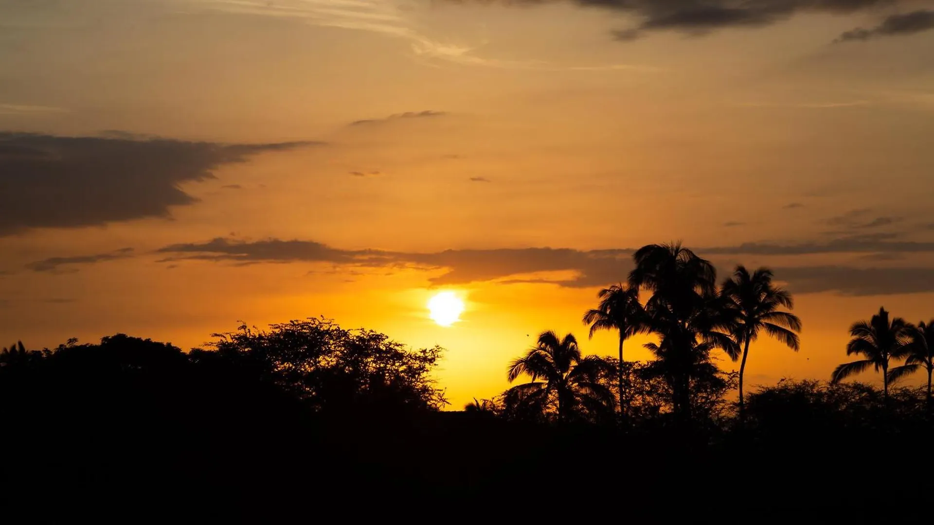 Pih: Mauna Kea Horizon Stunning Mauna Kea Resort Ocean Views 怀梅阿 美国